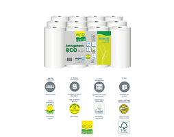 ASCIUGAMANO ROTOLO ECO 100MT 2V CT=12RT