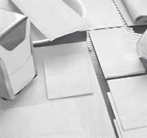 TOVAGLIOLO 17X34 1V OVATTA DI CELLULOSA BIANCO F34 CF=800PZ