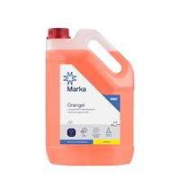 LAVAPIATTI MANUALE ARGUMATO ORANGEL 5KG
