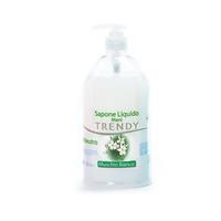 SAPONE LAVAMANI TRENDY CON EROGATORE 1LT